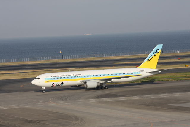 エア・ドゥ・B767-300・はこだて塗装の写真の写真