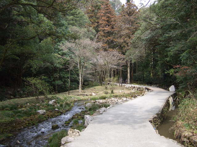 特別天然記念物・秋芳洞の写真の写真