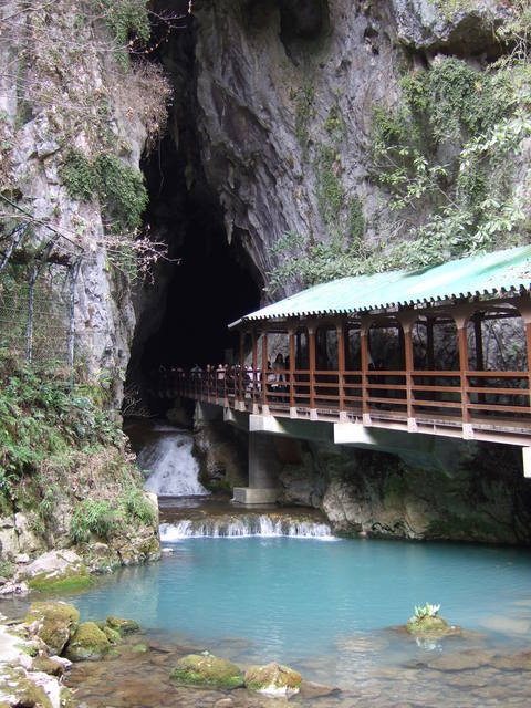 特別天然記念物・秋芳洞の写真の写真