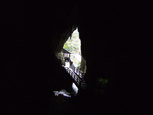 特別天然記念物・秋芳洞の写真の写真