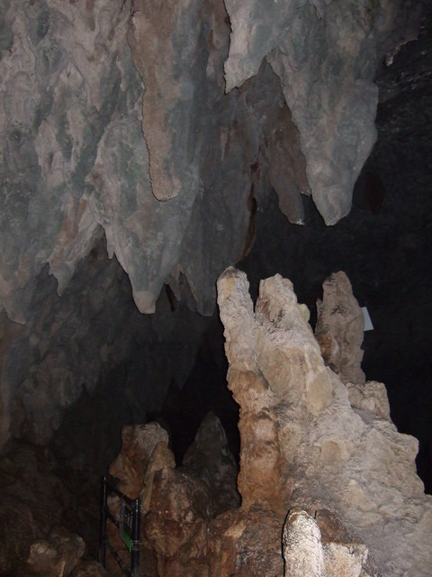 特別天然記念物・秋芳洞の写真の写真