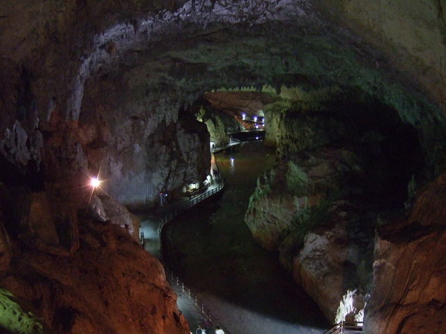 特別天然記念物・秋芳洞の写真の写真