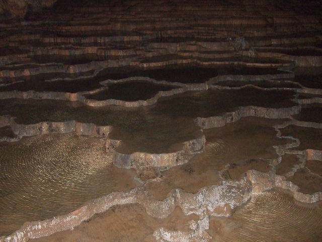 特別天然記念物・秋芳洞の写真の写真