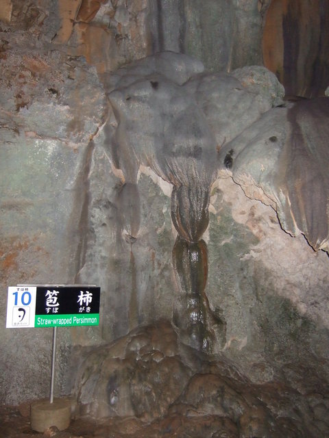 特別天然記念物・秋芳洞の写真の写真