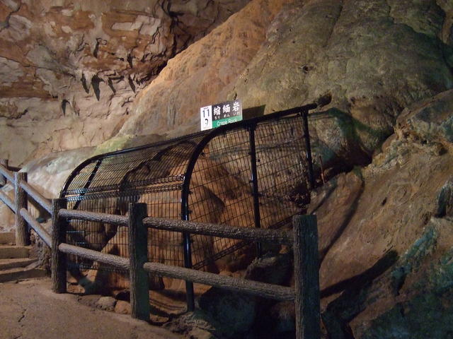 特別天然記念物・秋芳洞・縮緬岩の写真の写真