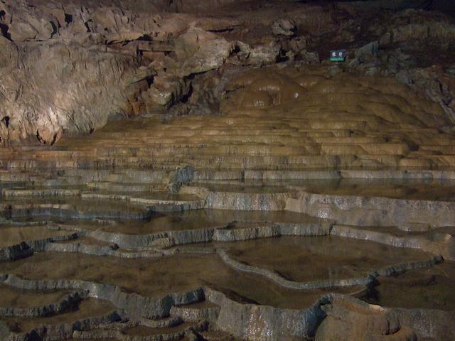 特別天然記念物・秋芳洞の写真の写真