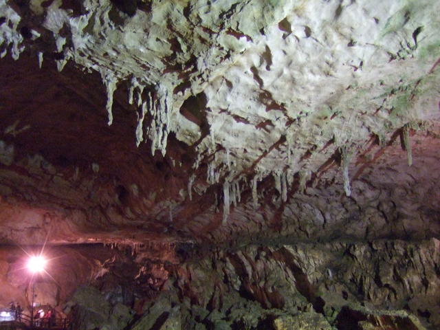 特別天然記念物・秋芳洞の写真の写真