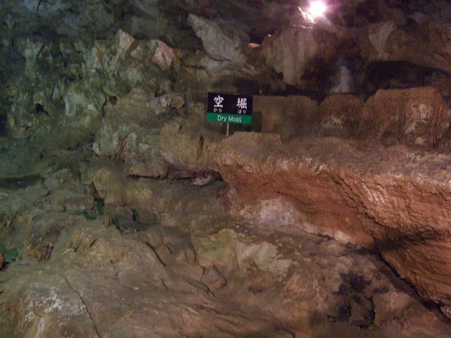 特別天然記念物・秋芳洞・空掘の写真の写真