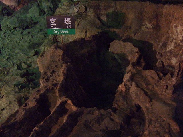特別天然記念物・秋芳洞・空掘の写真の写真