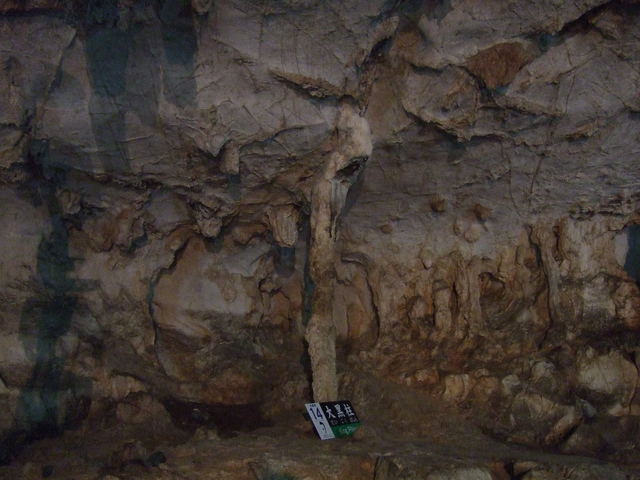 特別天然記念物・秋芳洞の写真の写真