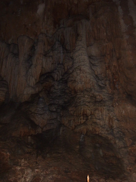 特別天然記念物・秋芳洞の写真の写真
