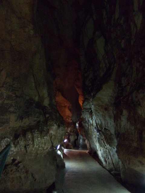特別天然記念物・秋芳洞の写真の写真