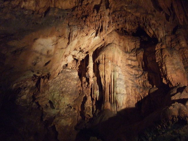 特別天然記念物・秋芳洞の写真の写真