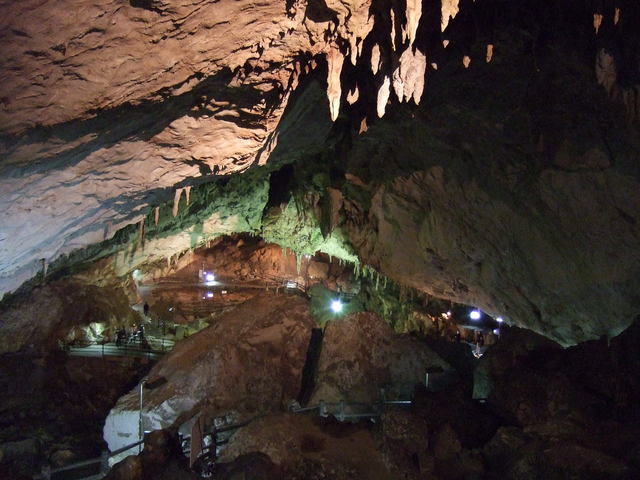 特別天然記念物・秋芳洞の写真の写真