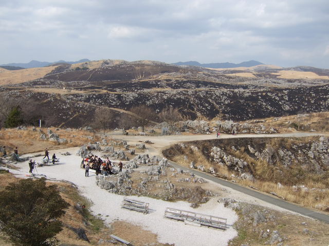 特別天然記念物・秋吉台１の写真の写真