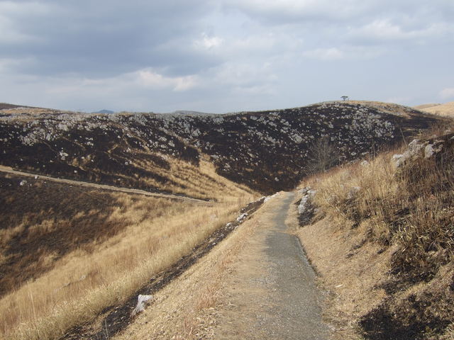 特別天然記念物・秋吉台８の写真の写真