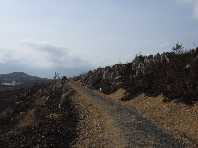 特別天然記念物・秋吉台１０の写真の写真