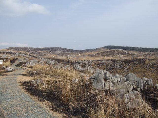 特別天然記念物・秋吉台１２の写真の写真