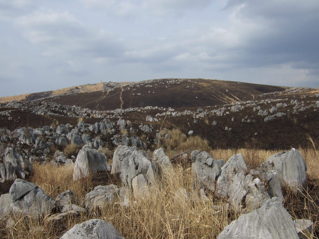 特別天然記念物・秋吉台１５の写真の写真