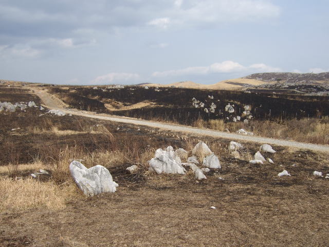 特別天然記念物・秋吉台１６の写真の写真