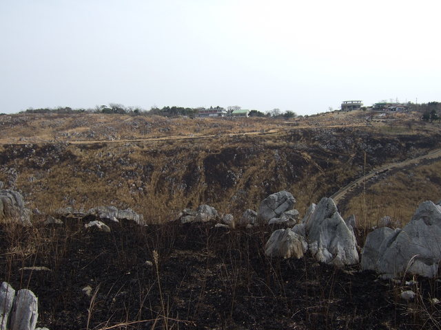 特別天然記念物・秋吉台１７の写真の写真