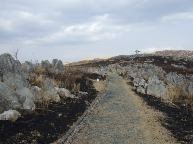 特別天然記念物・秋吉台１８の写真の写真