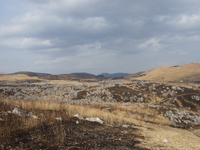 特別天然記念物・秋吉台２３の写真の写真