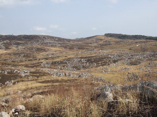 特別天然記念物・秋吉台２４の写真の写真