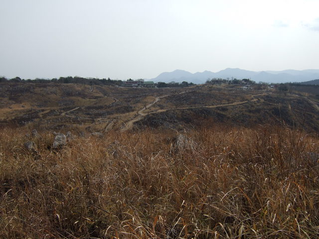 特別天然記念物・秋吉台２５の写真の写真