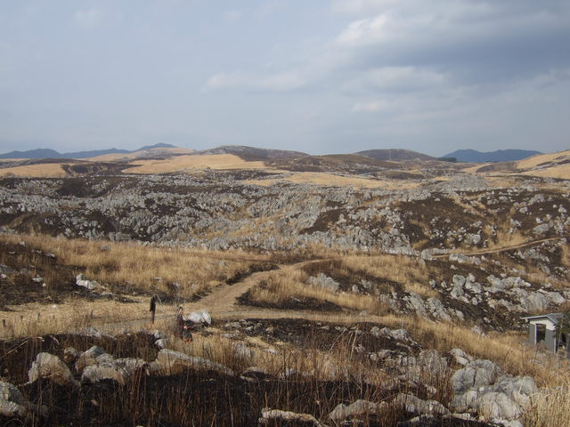 特別天然記念物・秋吉台２８の写真の写真