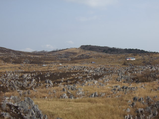 特別天然記念物・秋吉台３３の写真の写真