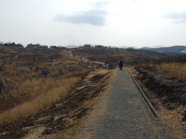 特別天然記念物・秋吉台３４の写真の写真