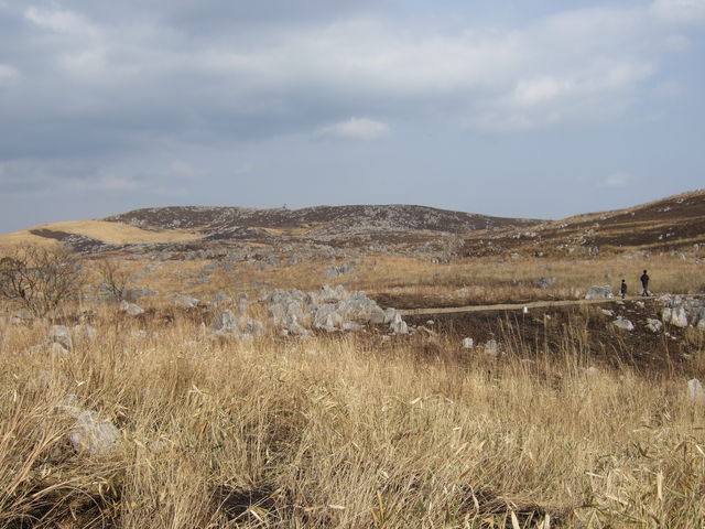 特別天然記念物・秋吉台３７の写真の写真