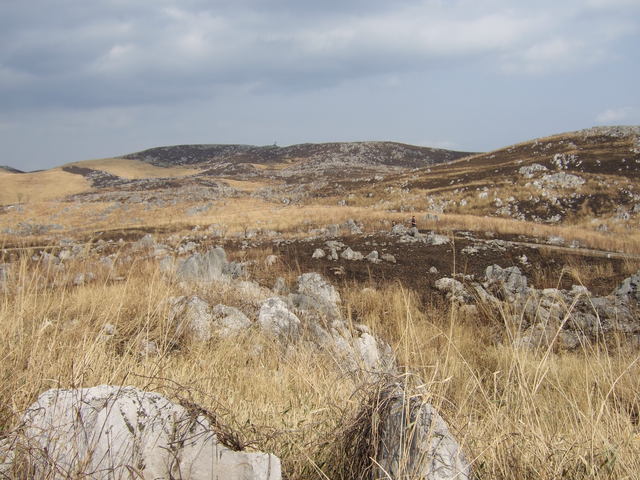 特別天然記念物・秋吉台３８の写真の写真