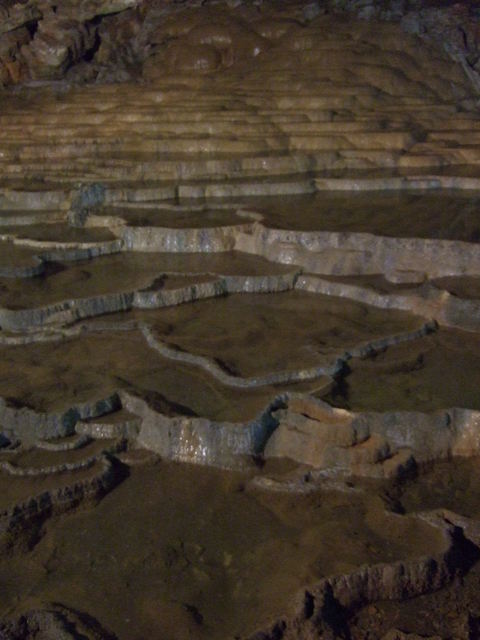 特別天然記念物・秋芳洞の写真の写真