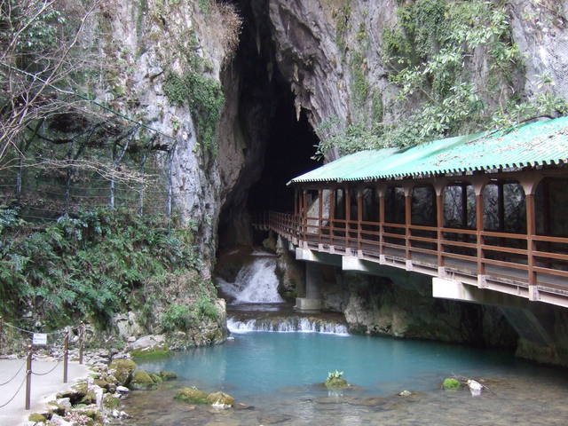 特別天然記念物・秋芳洞の写真の写真