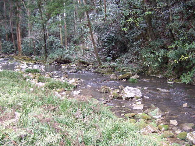 特別天然記念物・秋芳洞の写真の写真