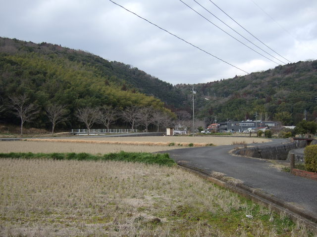 特別天然記念物・秋吉台４２の写真の写真