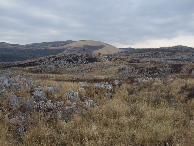 特別天然記念物・秋吉台４３の写真の写真