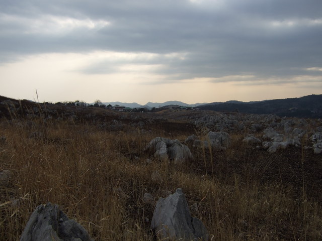 特別天然記念物・秋吉台４４の写真の写真