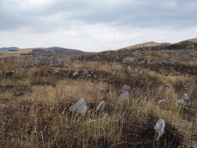 特別天然記念物・秋吉台４５の写真の写真