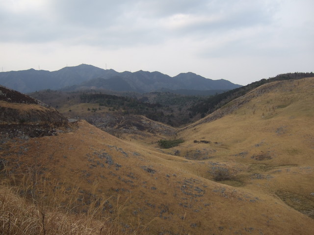 特別天然記念物・秋吉台４８の写真の写真