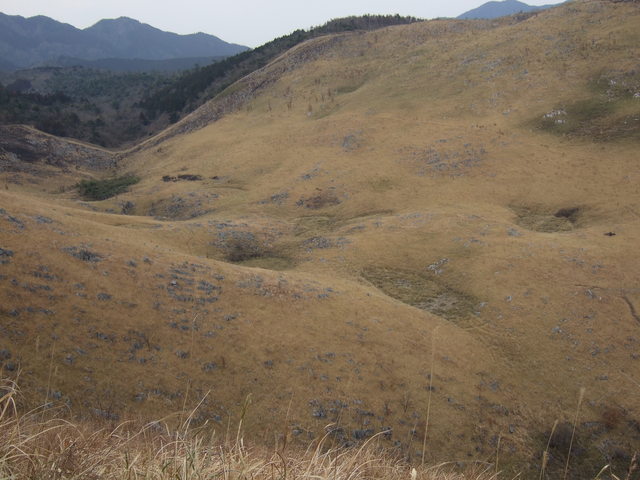 特別天然記念物・秋吉台５１の写真の写真