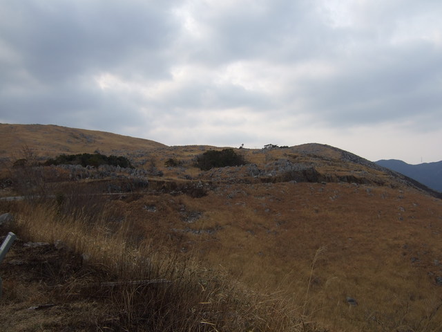 特別天然記念物・秋吉台５２の写真の写真