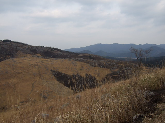 特別天然記念物・秋吉台５４の写真の写真