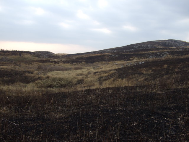 特別天然記念物・秋吉台６１の写真の写真