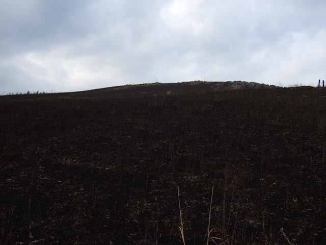 特別天然記念物・秋吉台６３の写真の写真