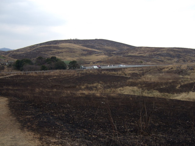 特別天然記念物・秋吉台６４の写真の写真