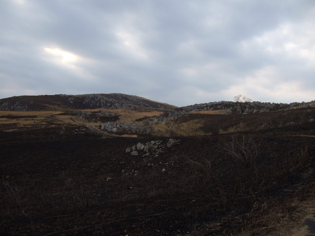 特別天然記念物・秋吉台６６の写真の写真