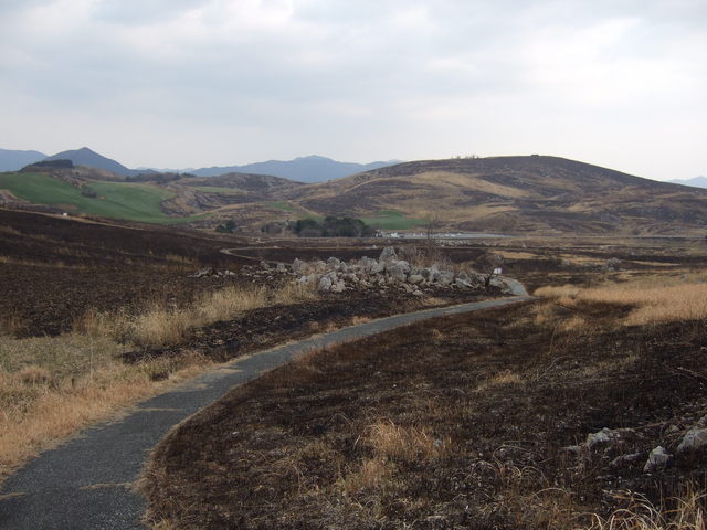 特別天然記念物・秋吉台６８の写真の写真